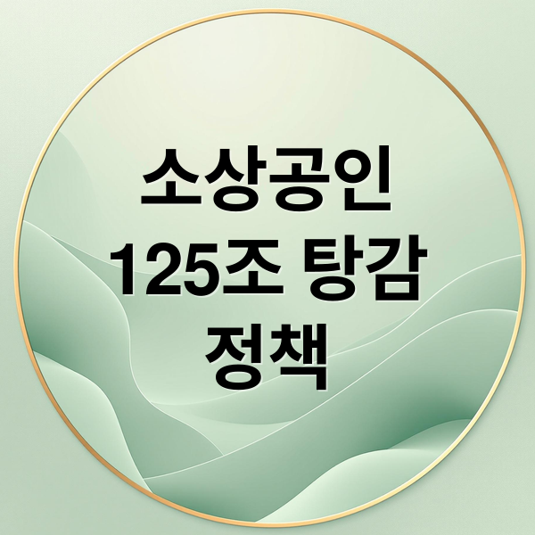 소상공인
125조 탕감
정책 (소상공인 대출 탕감 125조)