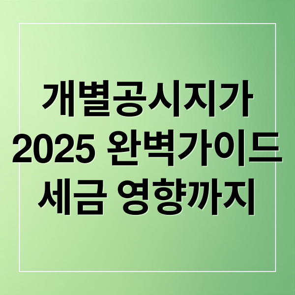개별공시지가
2025 완벽가이드
세금 영향까지 (2025 공시지가 조회 이의신청)