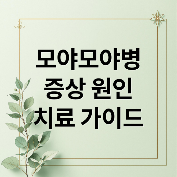 모야모야병
증상 원인
치료 가이드 (모야모야병 증상 원인 치료)