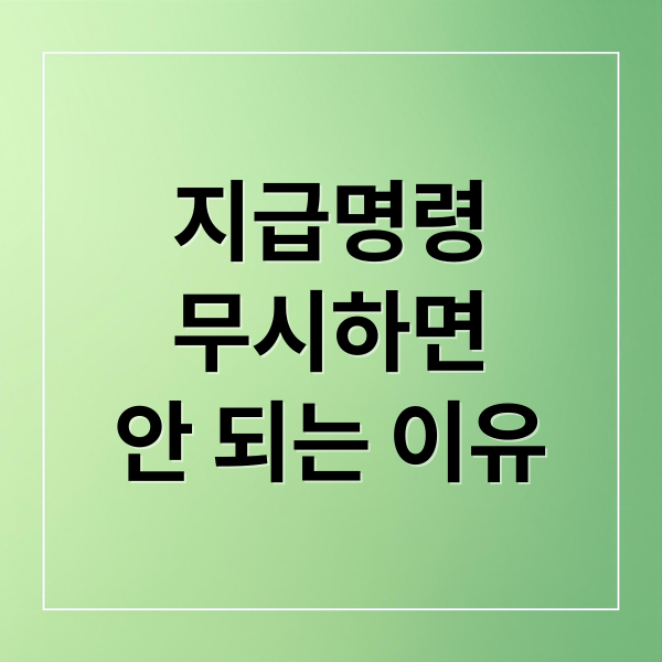 지급명령
무시하면
안 되는 이유 (지급명령 대응 개인회생)