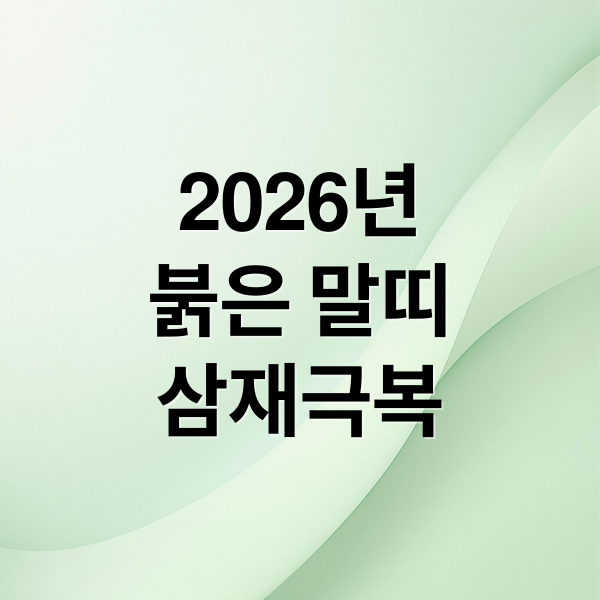 2026년
붉은 말띠
삼재극복 (2026년 띠 삼재띠)