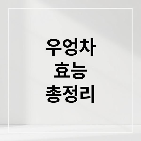 우엉차
효능
총정리 (우엉차 효능)