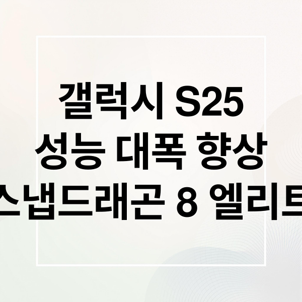 갤럭시 S25
성능 대폭 향상
스냅드래곤 8 엘리트 (갤럭시 S25 성능)