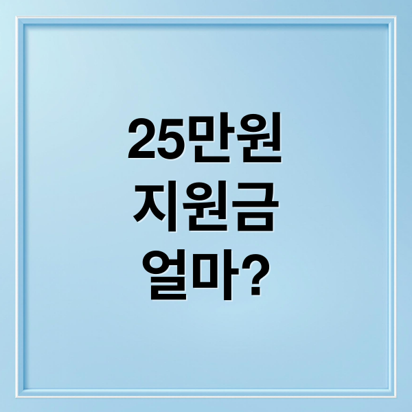 25만원
지원금
얼마? (전국민 25만원 지급시기 소득별 지급대상 및 기준)