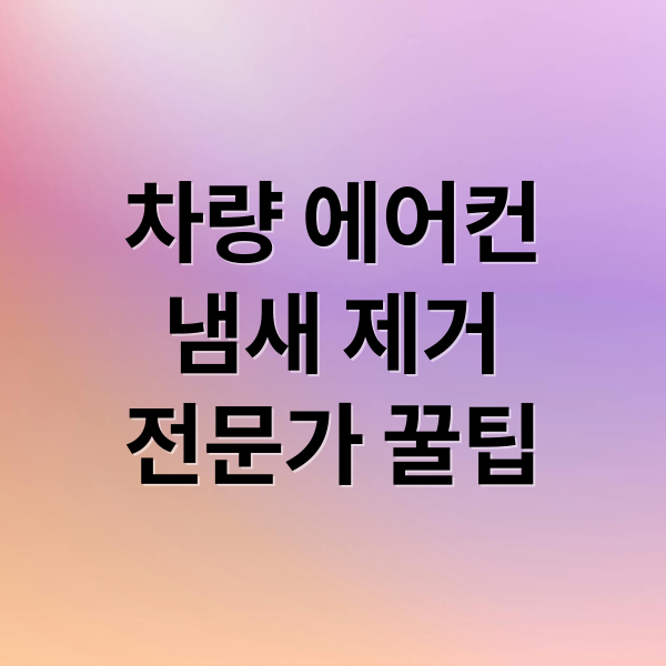 차량 에어컨
냄새 제거
전문가 꿀팁 (차량 에어컨 냄새 원인 해결)