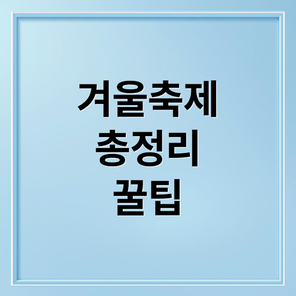 겨울축제
총정리
꿀팁 (겨울 축제)