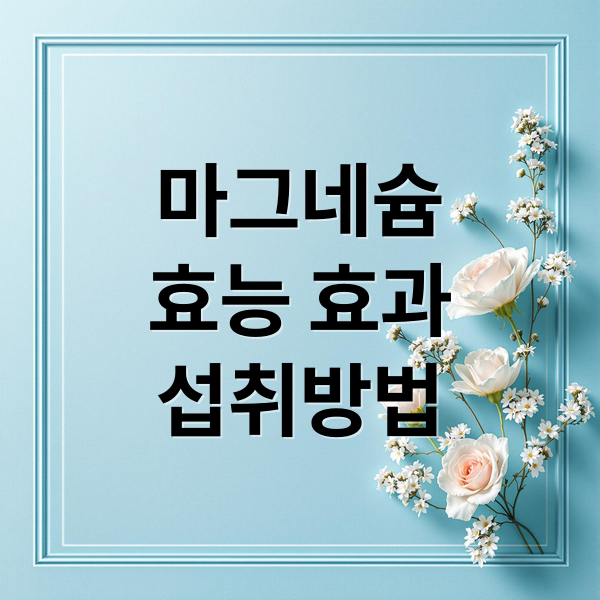 마그네슘
효능 효과
섭취방법 (마그네슘 효능)