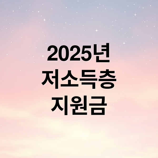 2025년
저소득층
지원금 (저소득층 지원금)