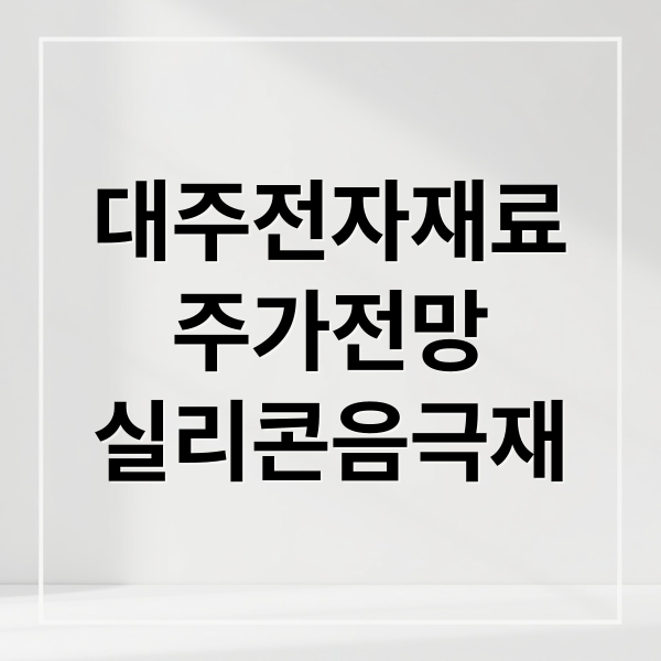 대주전자재료
주가전망
실리콘음극재 (대주전자재료 주가 전망)