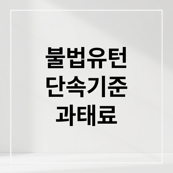 불법유턴
단속기준
과태료 (불법유턴 신고 시간·과태료·포상금 정리)