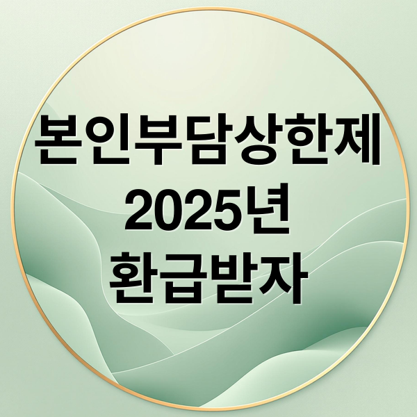 본인부담상한제
2025년
환급받자 (요양병원 본인부담금 상한제 환급대상·기준·신청방법 총정리)