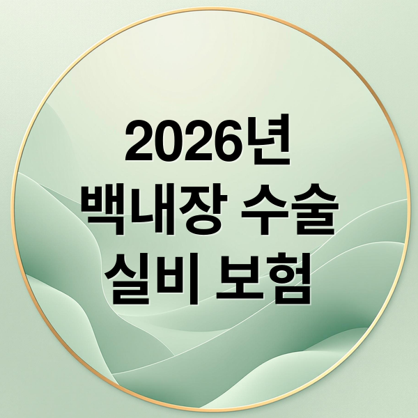 2026년
백내장 수술
실비 보험 (2026 백내장 수술 실비 기준)