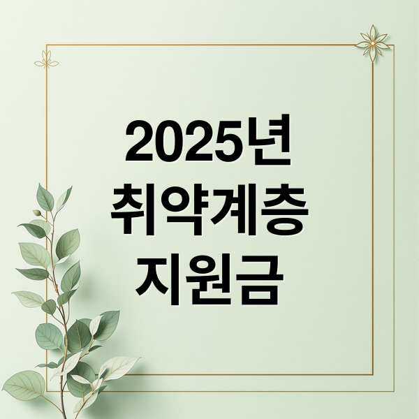 2025년
취약계층
지원금 (취약계층 지원금)