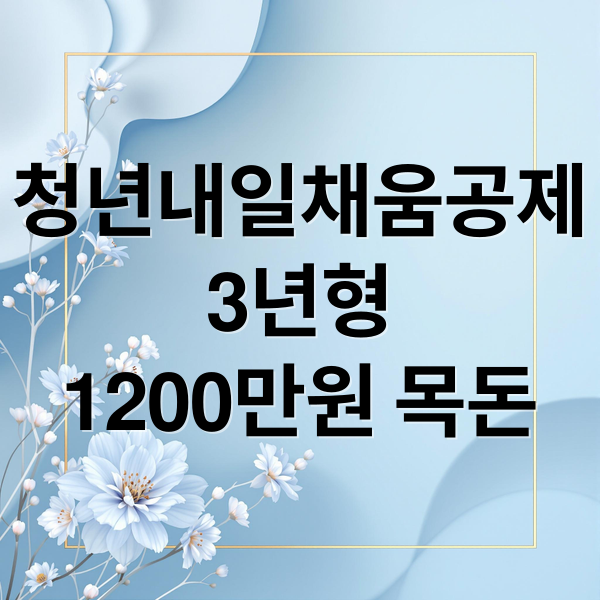 청년내일채움공제
3년형
1200만원 목돈 (청년내일채움공제 3년형)