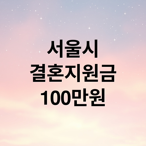 서울시
결혼지원금
100만원 (서울시 결혼지원금)