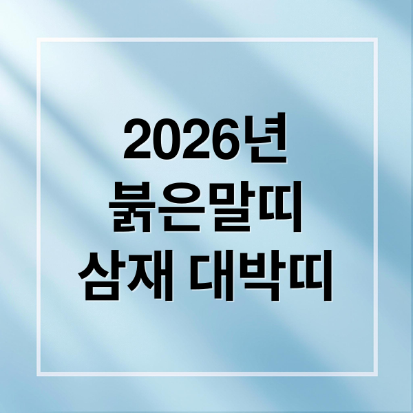 2026년
붉은말띠
삼재 대박띠 (2026년 띠 병오년 삼재띠)