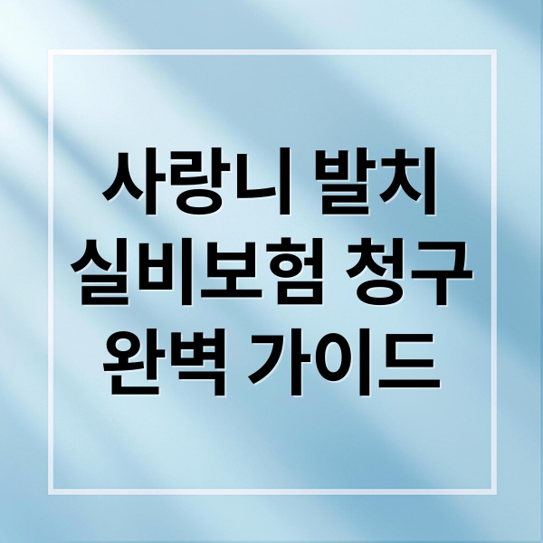 사랑니 발치
실비보험 청구
완벽 가이드 (사랑니 발치 실비 청구? 단 3분 만에 통장에 돈이 들어오는 초간단 가이드!)