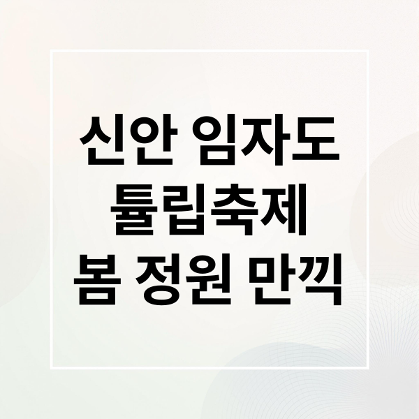 신안 임자도
튤립축제
봄 정원 만끽 (임자도 튤립축제)