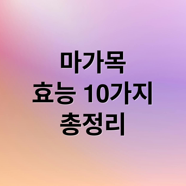 마가목
효능 10가지
총정리 (마가목 효능 10가지)