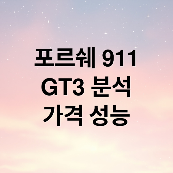 포르쉐 911
GT3 분석
가격 성능 (포르쉐 911 GT3 드림카)