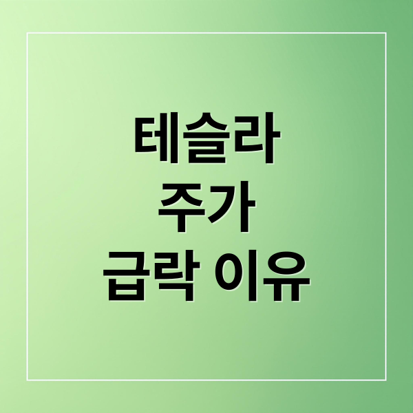 테슬라
주가
급락 이유 (테슬라 주가 전망 30% 폭락 지금 매수 기회인가)