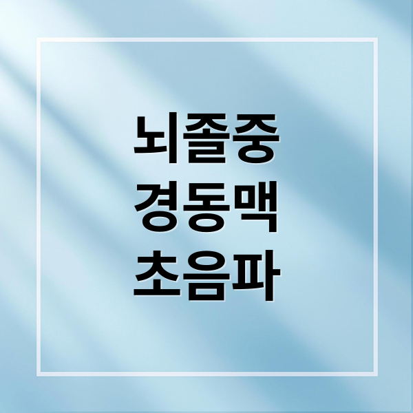 뇌졸중
경동맥
초음파 (경동맥 초음파 검사)