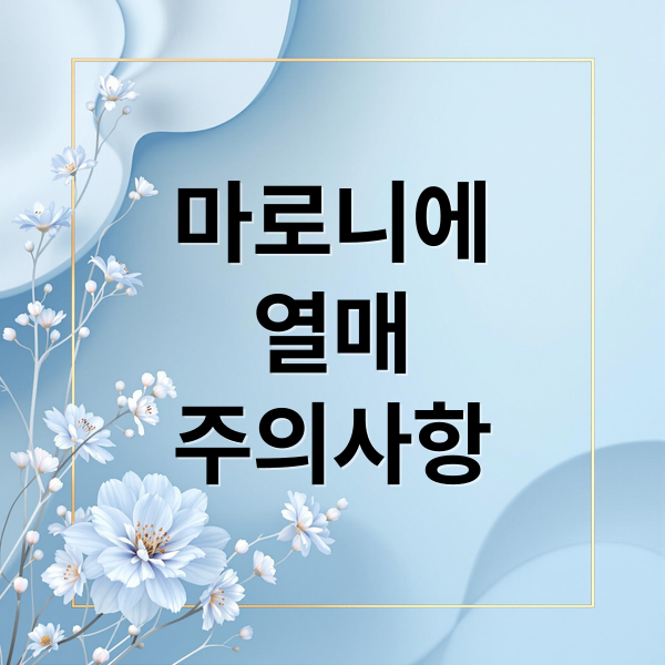 마로니에
열매
주의사항 (마로니에 열매 효능)