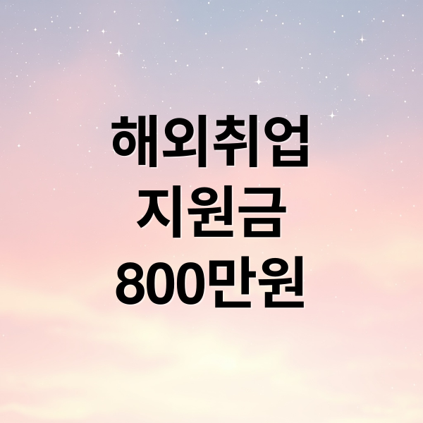 해외취업
지원금
800만원 (해외취업 지원금 800만원)