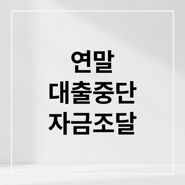 연말
대출중단
자금조달 (인터넷은행 대출 연말 한도)