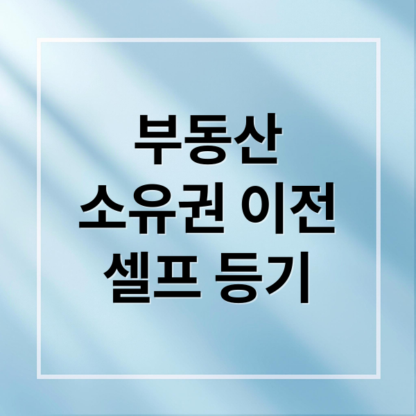 부동산
소유권 이전
셀프 등기 (소유권 이전등기 신청서 작성방법)