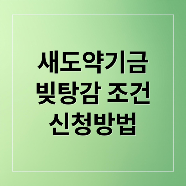 새도약기금
빚탕감 조건
신청방법 (새도약기금 대상자 신청 방법)