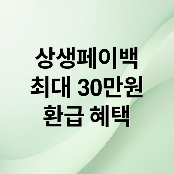 상생페이백
최대 30만원
환급 혜택 (상생페이백 신청 조건 대상)