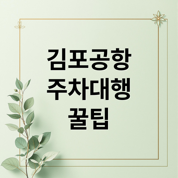 김포공항주차대행꿀팁 (김포공항 주차대행)
