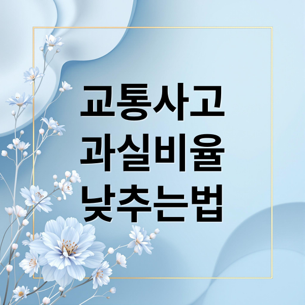 교통사고
과실비율
낮추는법 (교통사고 과실비율)